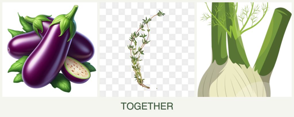 Can you plant eggplant, thyme and fennel together?