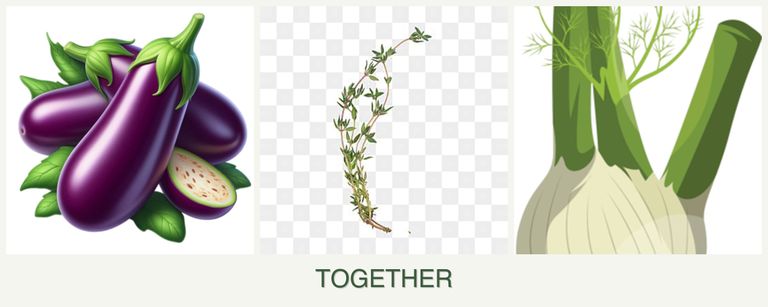 Can you plant eggplant, thyme and fennel together?