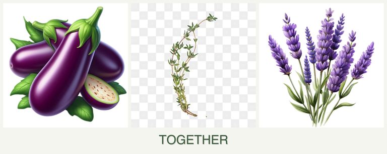 Can you plant eggplant, thyme and lavender together?