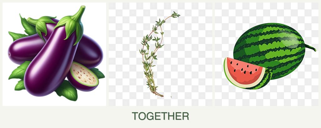 Can you plant eggplant, thyme and melons together?