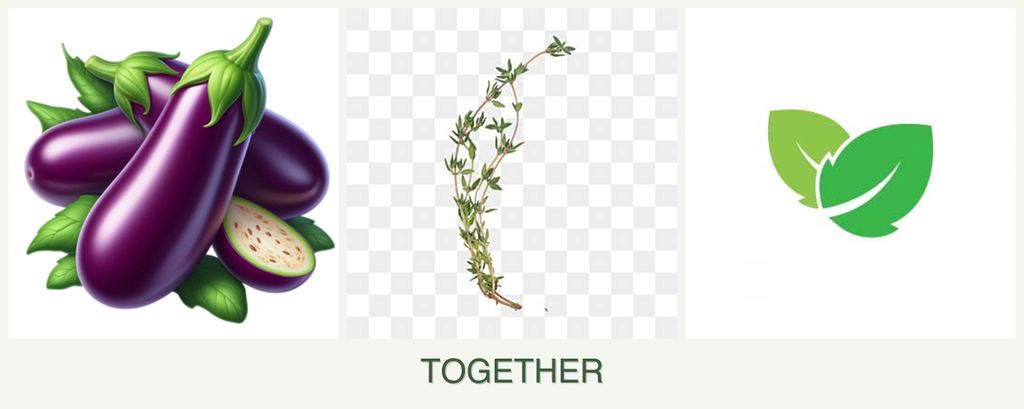 Can you plant eggplant, thyme and mint together?