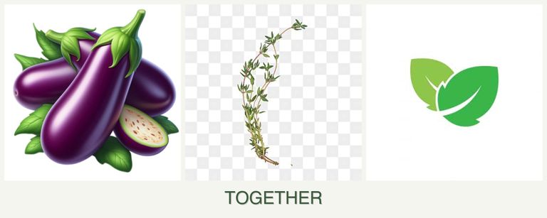 Can you plant eggplant, thyme and mint together?