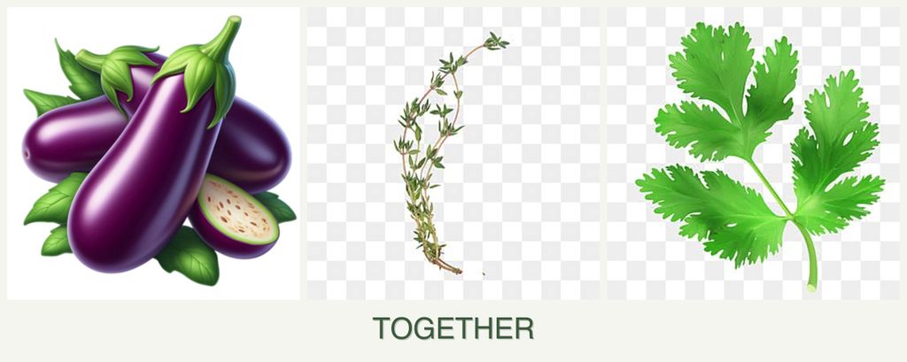 Can you plant eggplant, thyme and parsley together?