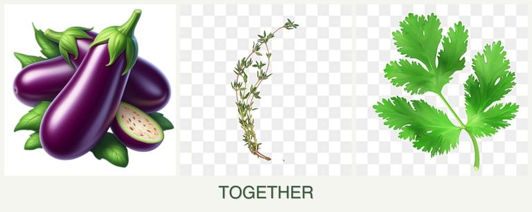 Can you plant eggplant, thyme and parsley together?