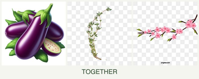 Can you plant eggplant, thyme and peaches together?