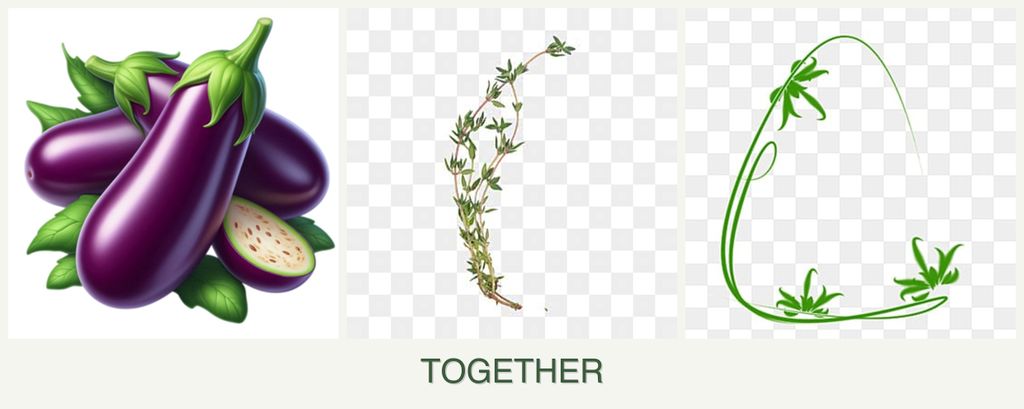 Can you plant eggplant, thyme and tarragon together?