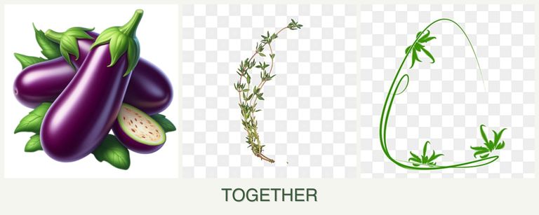 Can you plant eggplant, thyme and tarragon together?