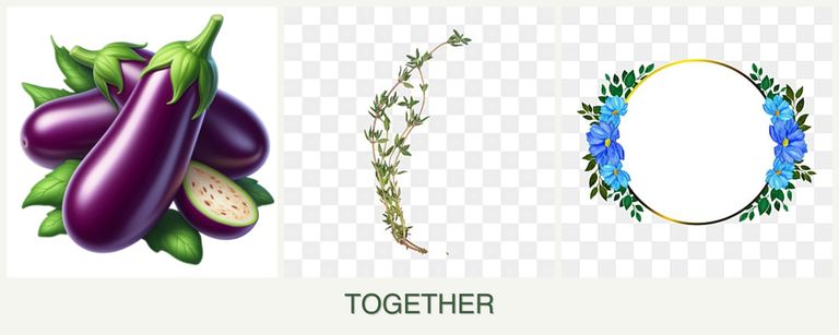 Can you plant eggplant, thyme and zinnias together?