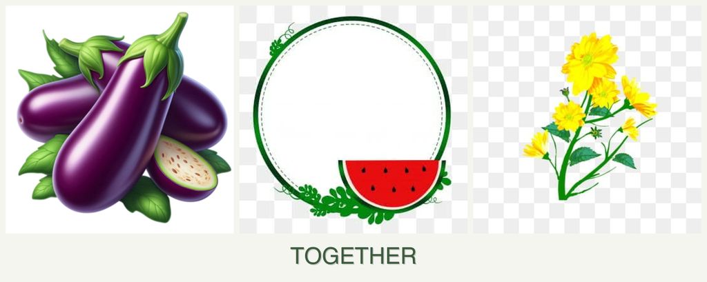 Can you plant eggplant, watermelons and calendula together?