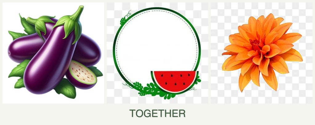 Can you plant eggplant, watermelons and dahlias together?