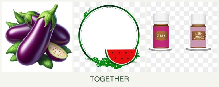 Can you plant eggplant, watermelons and geraniums together?