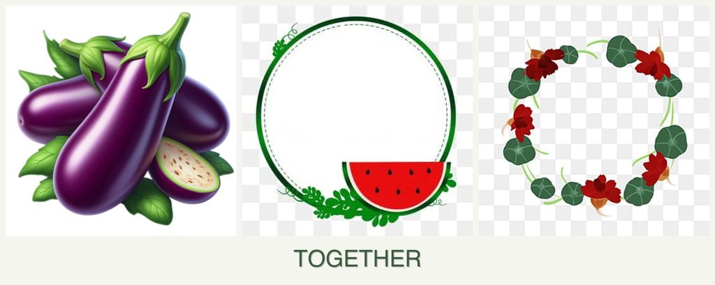 Can you plant eggplant, watermelons and nasturtiums together?