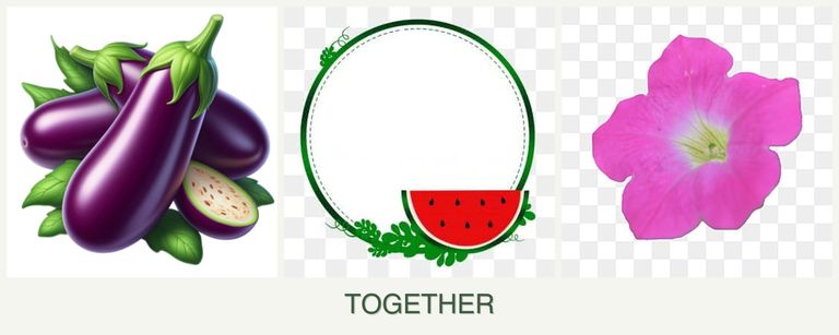 Can you plant eggplant, watermelons and petunias together?