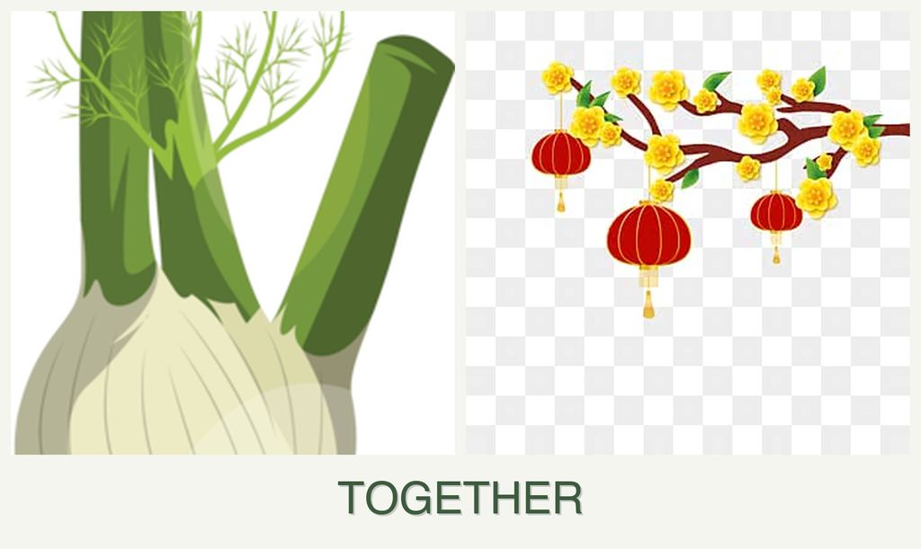 Can you plant fennel and apricots together?