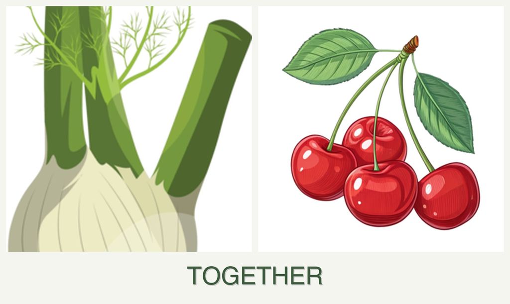 Can you plant fennel and cherries together?