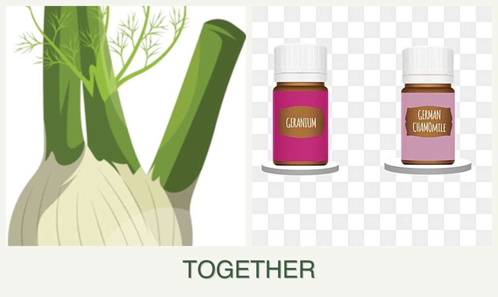 Can you plant fennel and geraniums together?
