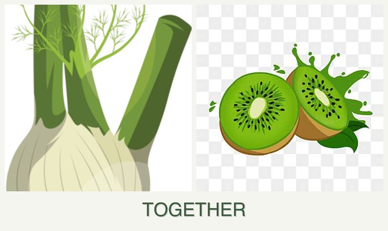 Can you plant fennel and kiwi together?