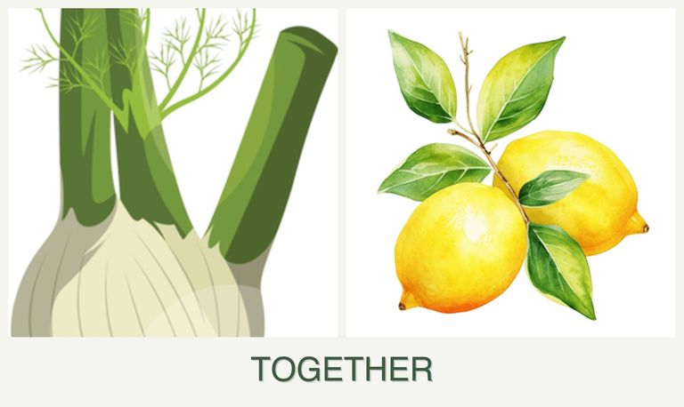 Can you plant fennel and lemons together?