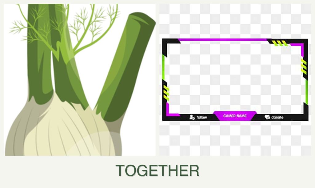 Can you plant fennel and limes together?