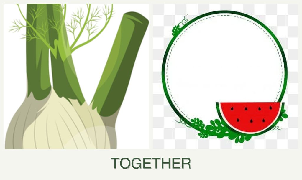 Can you plant fennel and watermelons together?