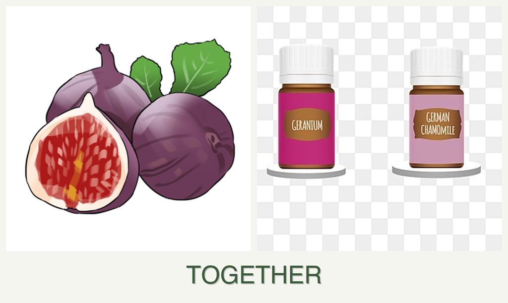 Can you plant figs and geraniums together?