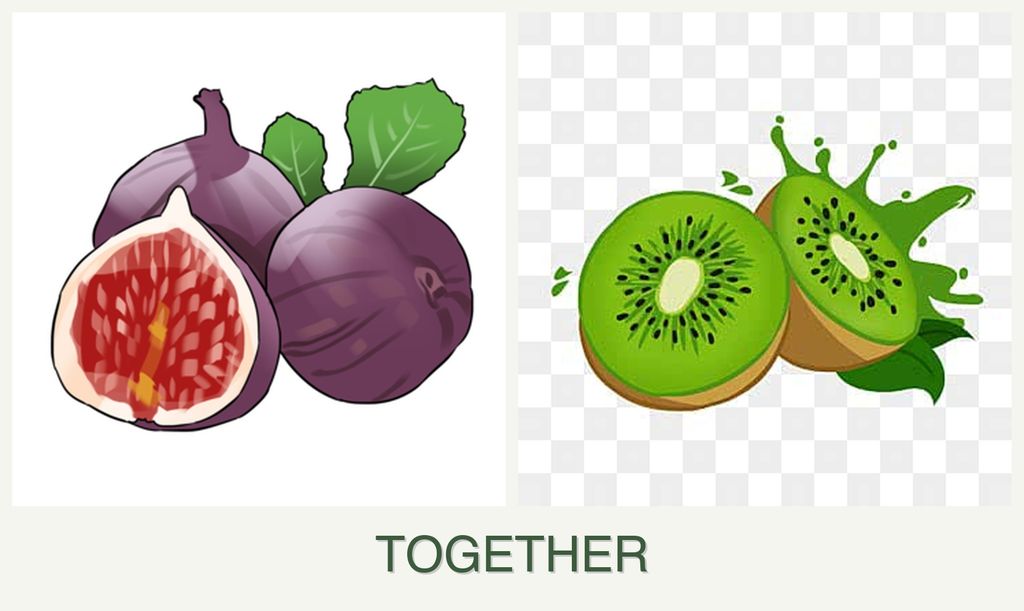 Can you plant figs and kiwi together?