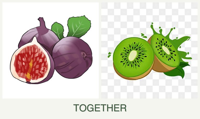 Can you plant figs and kiwi together?