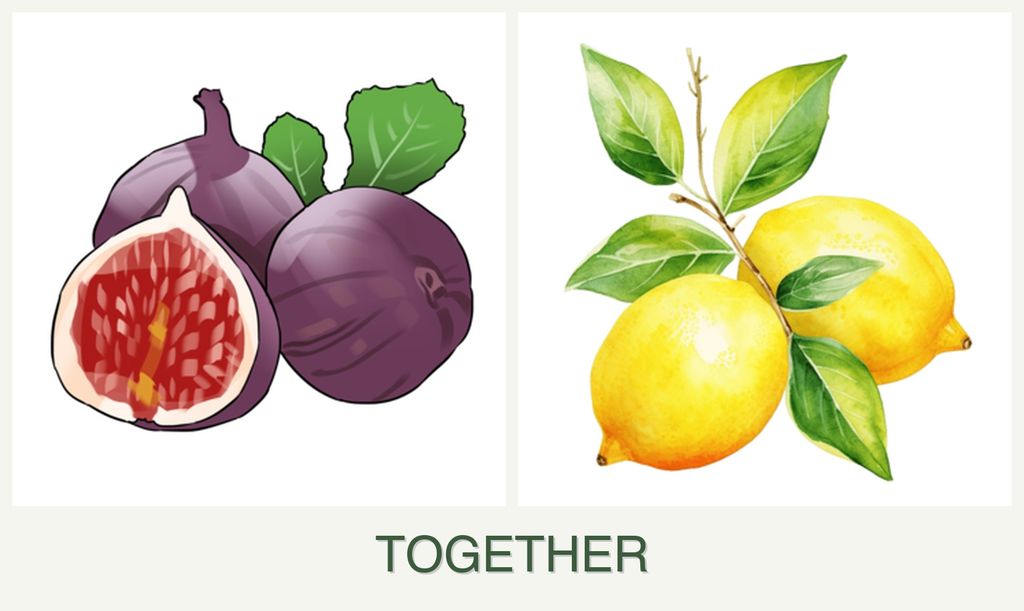Can you plant figs and lemons together?
