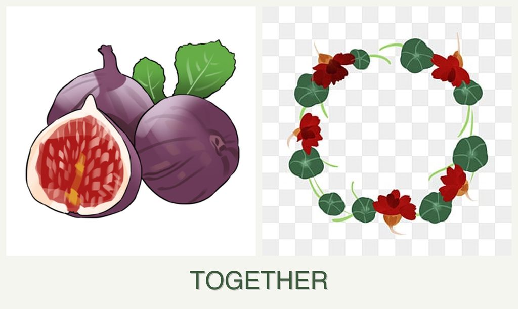 Can you plant figs and nasturtiums together?