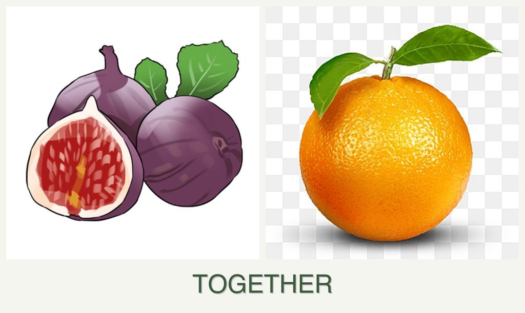 Can you plant figs and oranges together?