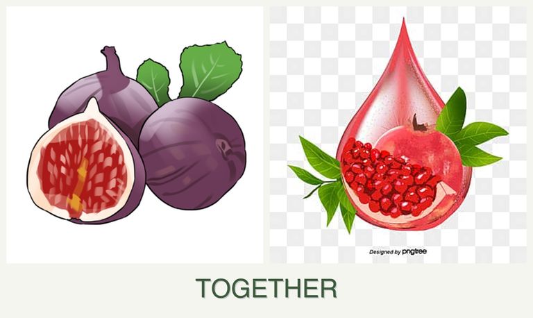 Can you plant figs and pomegranates together?