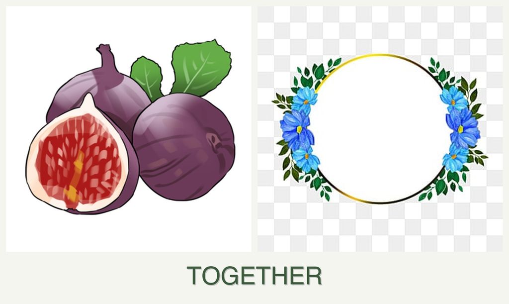 Can you plant figs and zinnias together?