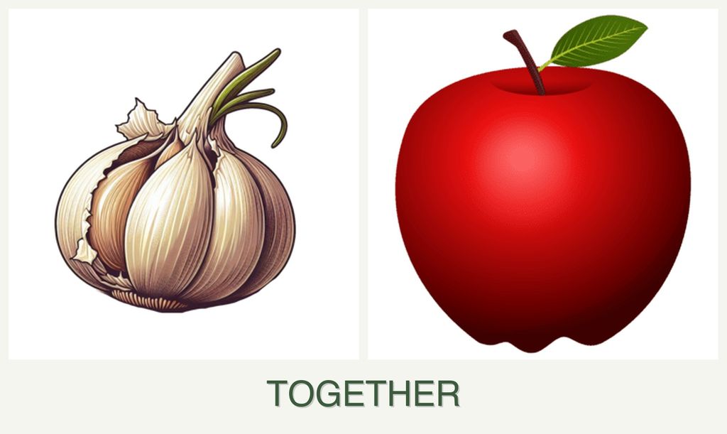 Can you plant garlic and apples together?
