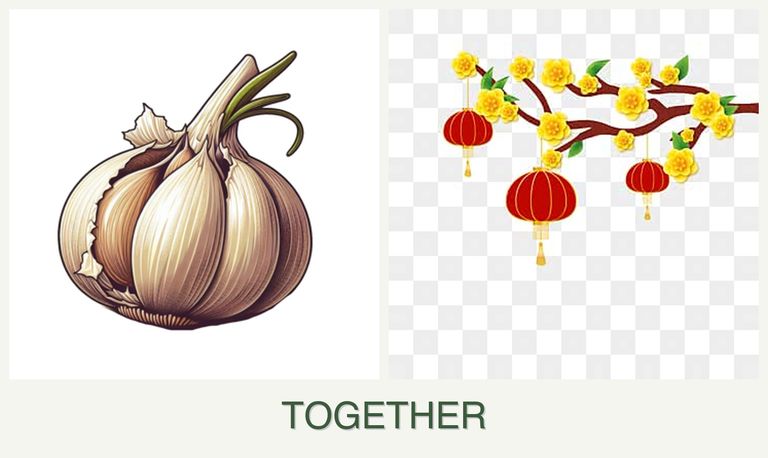 Can you plant garlic and apricots together?