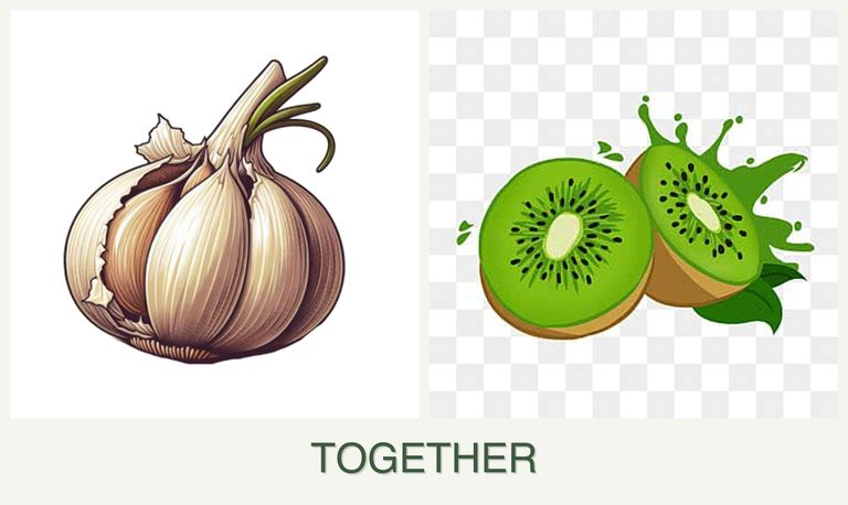 Can you plant garlic and kiwi together?