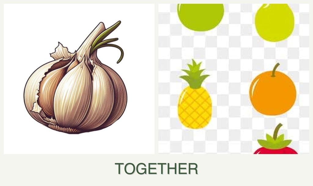 Can you plant garlic and pears together?