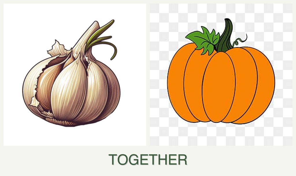Can you plant garlic and pumpkin together?