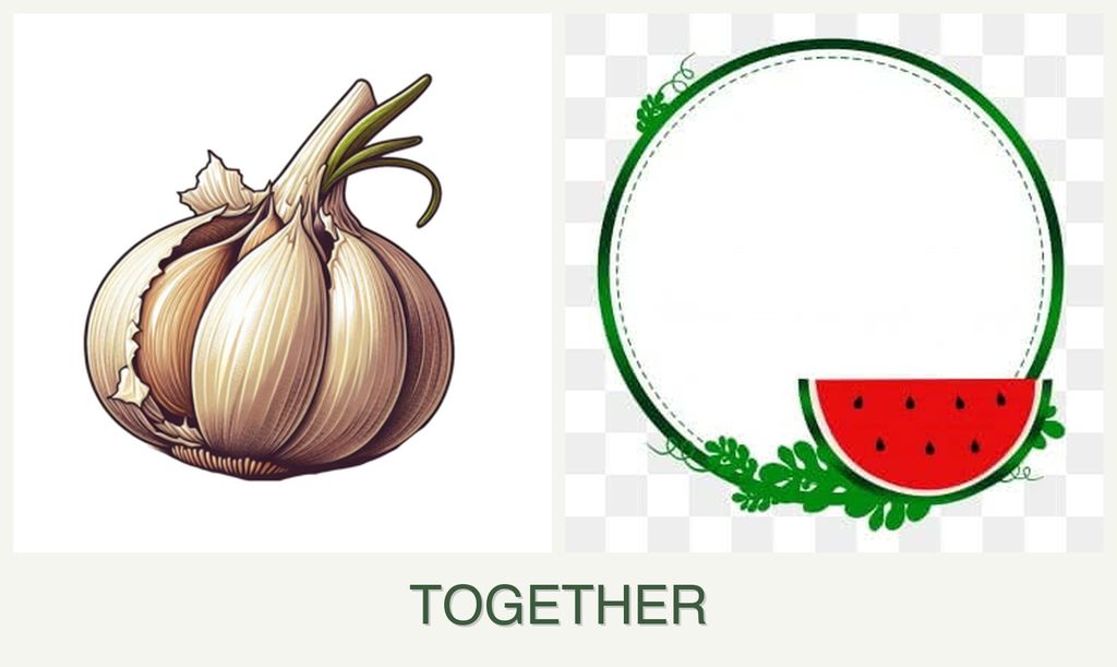 Can you plant garlic and watermelons together?