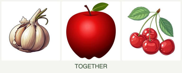 Can you plant garlic, apples and cherries together?