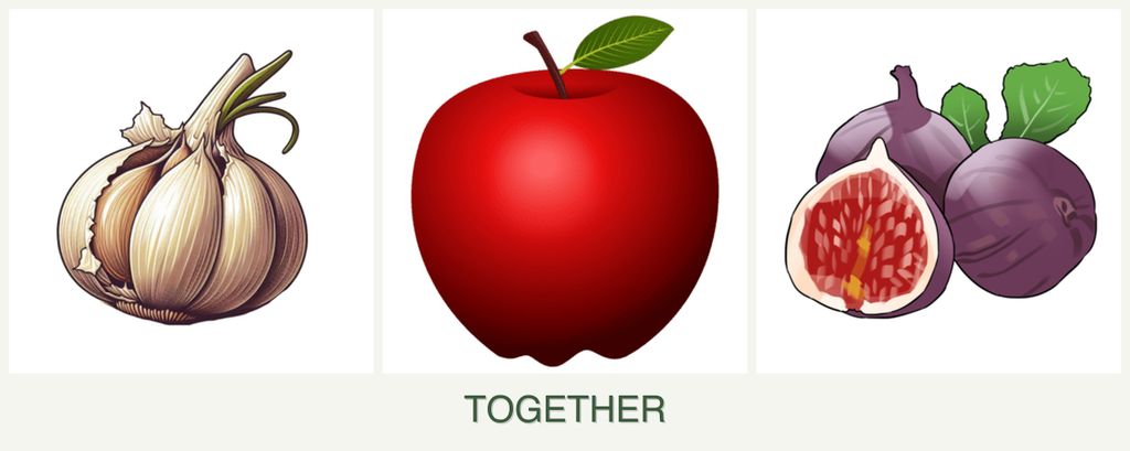 Can you plant garlic, apples and figs together?