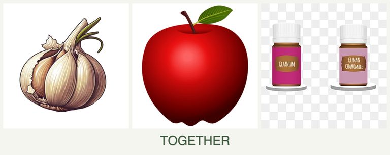 Can you plant garlic, apples and geraniums together?
