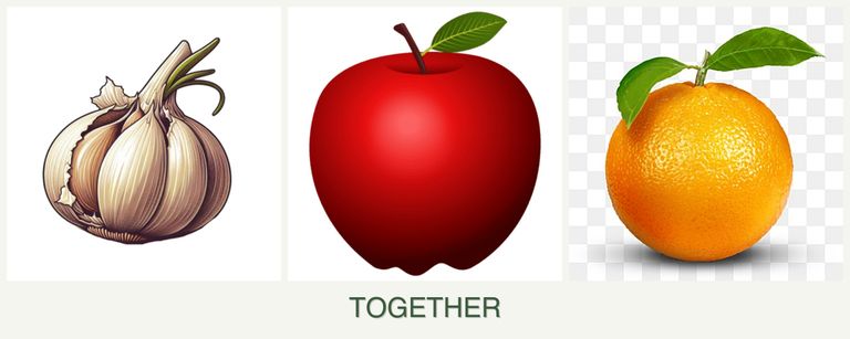 Can you plant garlic, apples and oranges together?