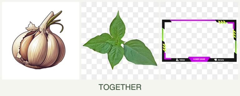 Can you plant garlic, basil and limes together?