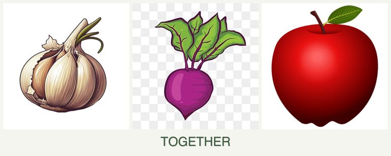 Can you plant garlic, beets and apples together?