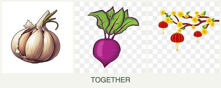 Can you plant garlic, beets and apricots together?
