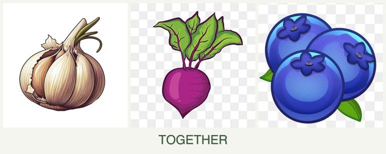 Can you plant garlic, beets and blueberries together?