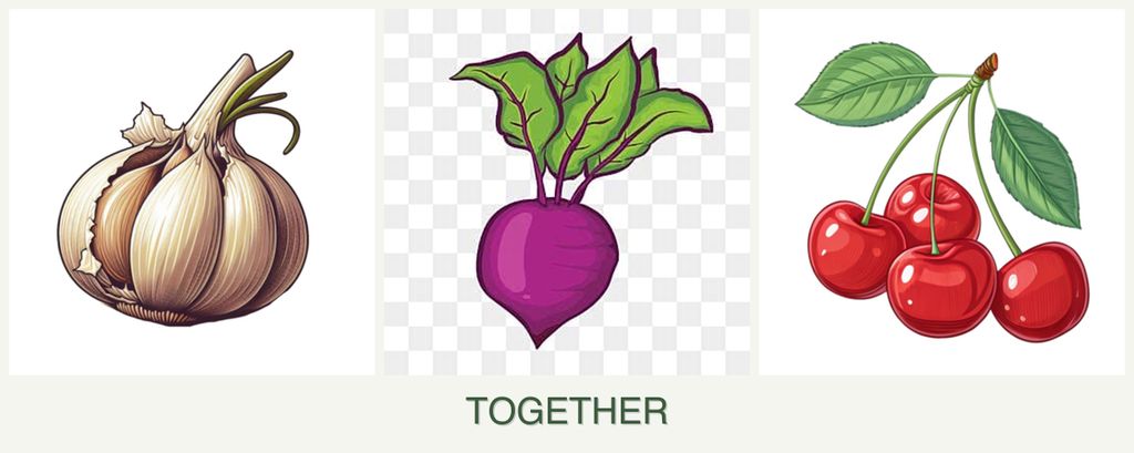 Can you plant garlic, beets and cherries together?