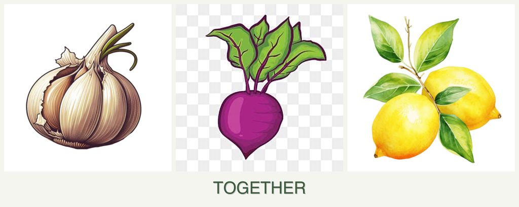 Can you plant garlic, beets and lemons together?