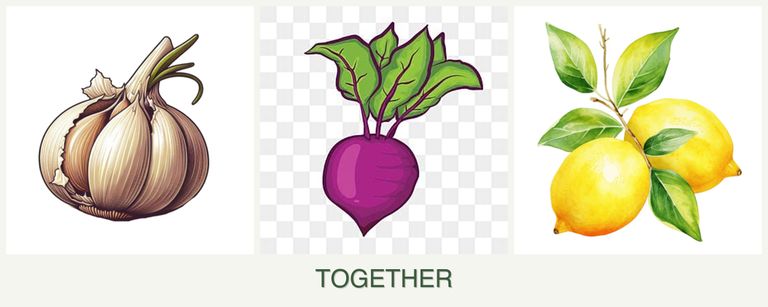 Can you plant garlic, beets and lemons together?