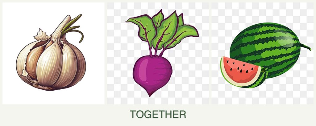 Can you plant garlic, beets and melons together?